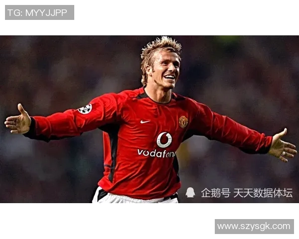 盘点当今足球明星数量及其在各大联赛中的表现与影响力分析